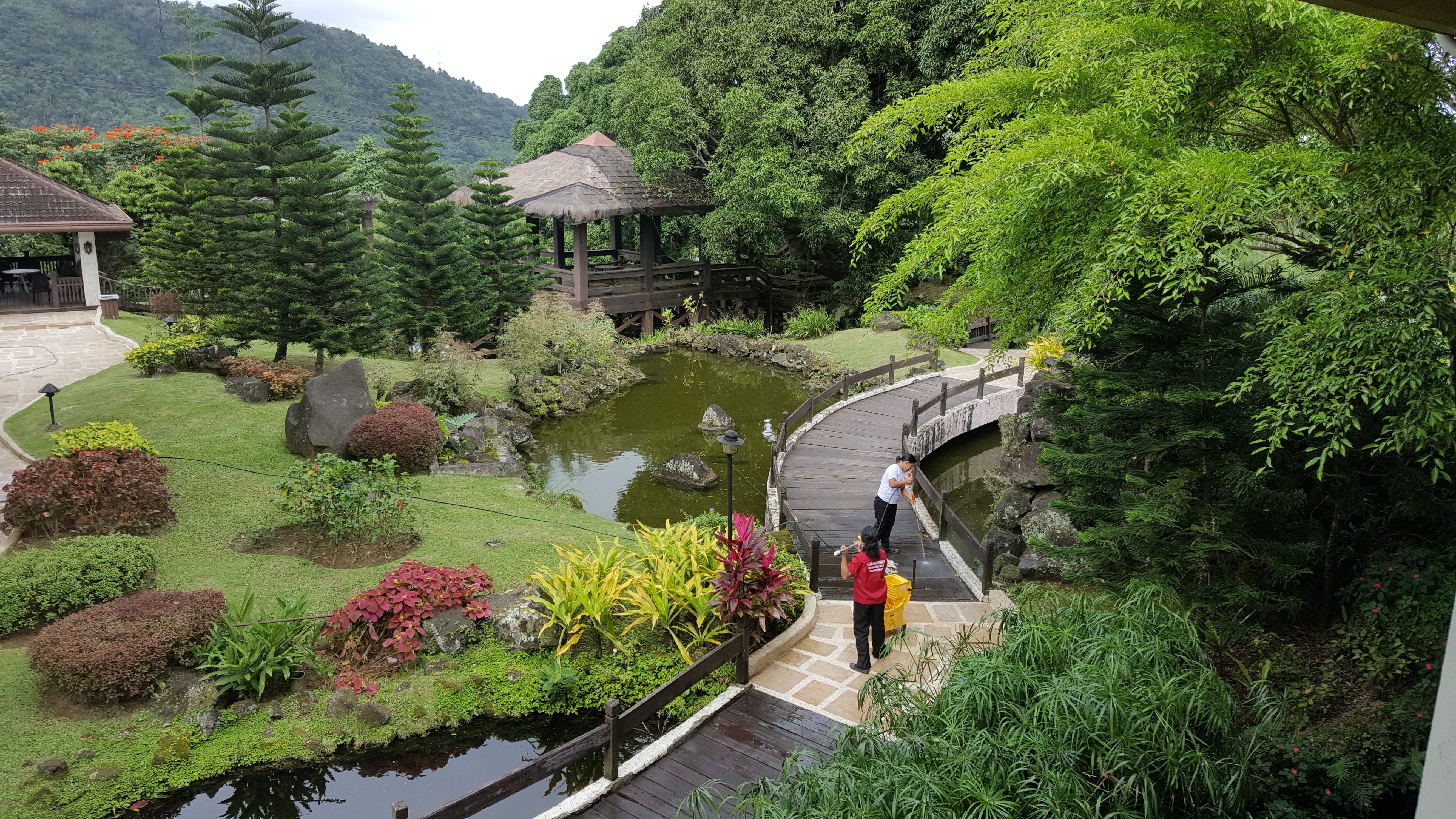 150.jpg (165335 bytes)