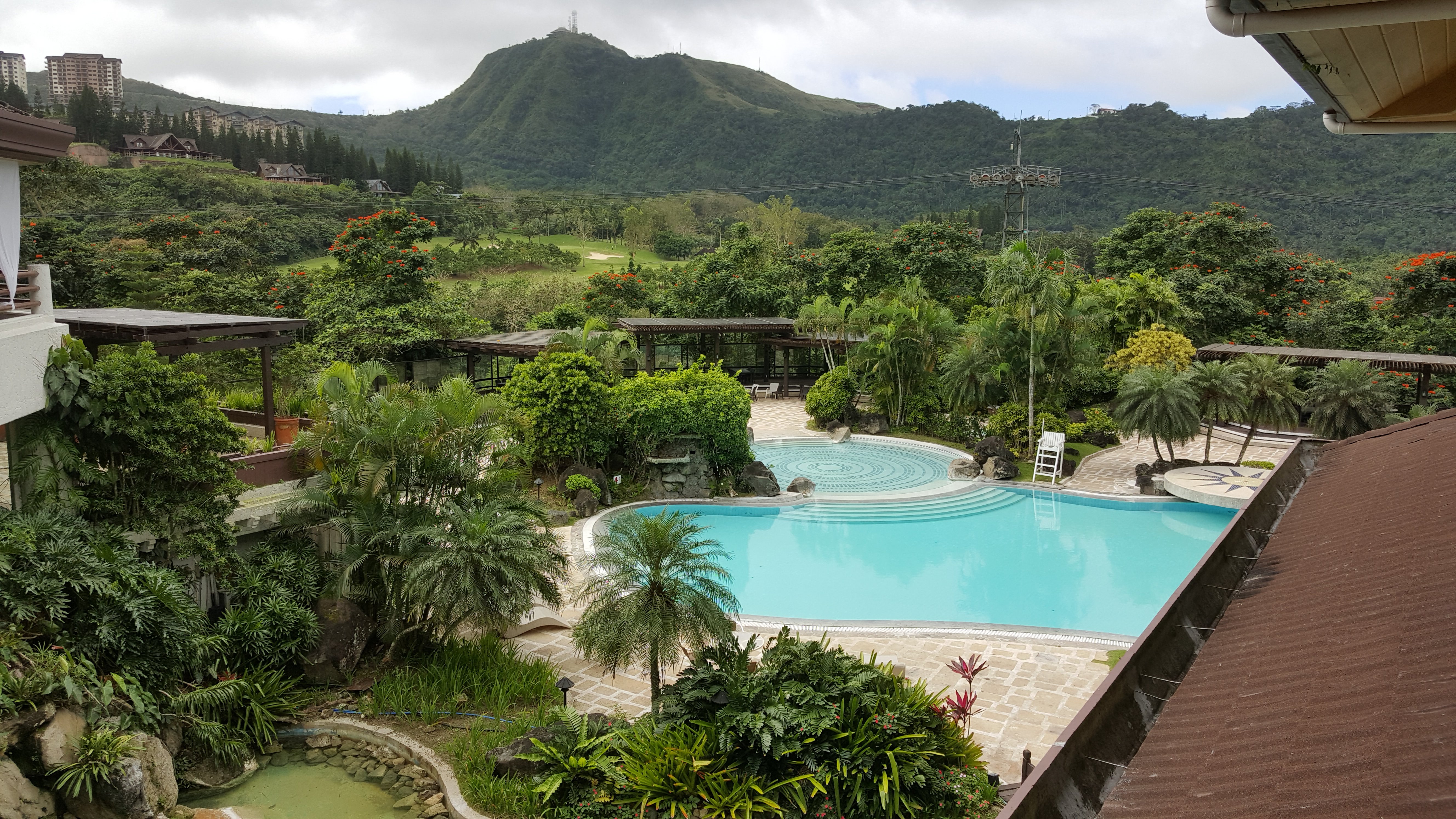 160.jpg (142052 bytes)