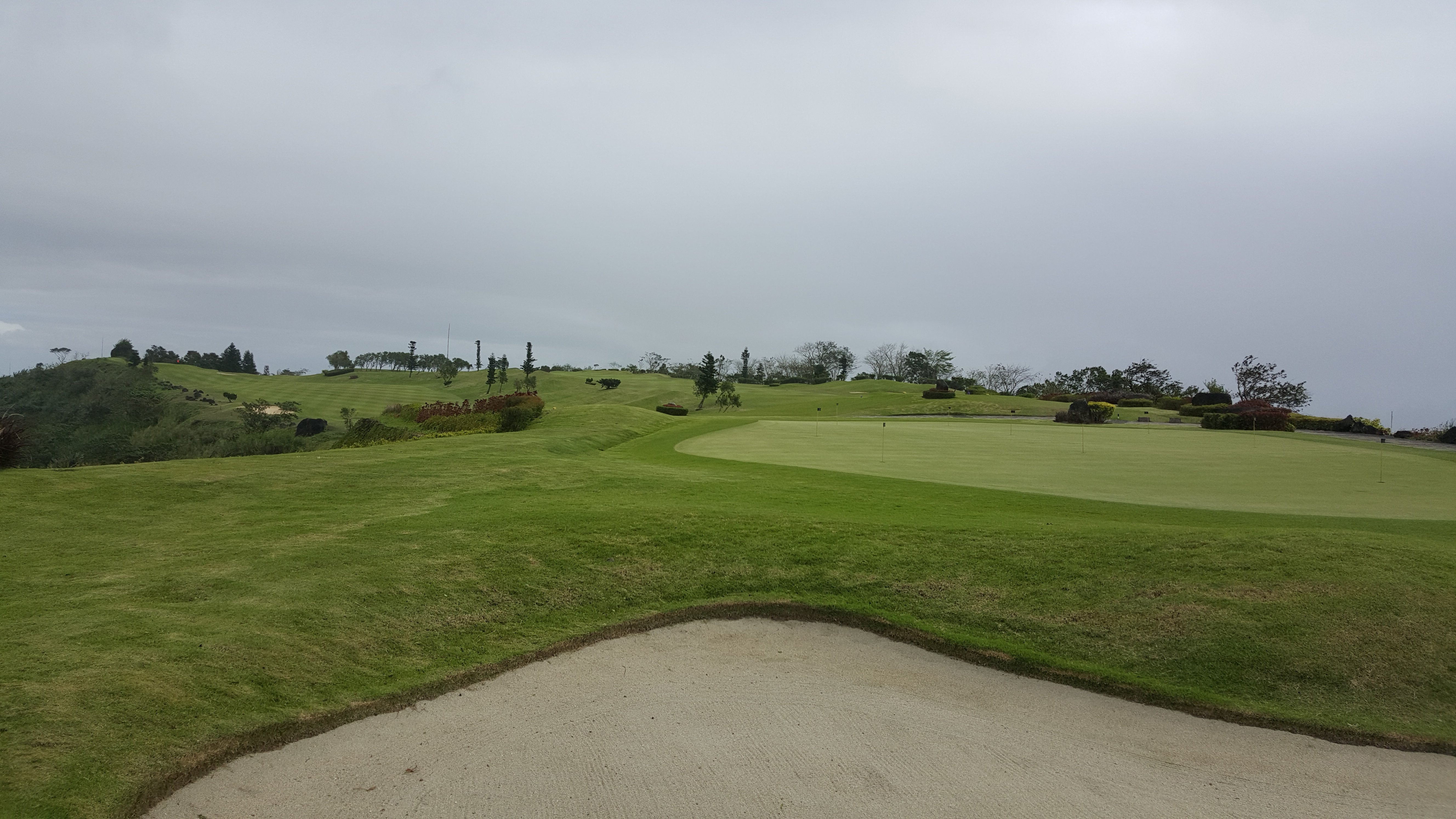 20.jpg (142052 bytes)