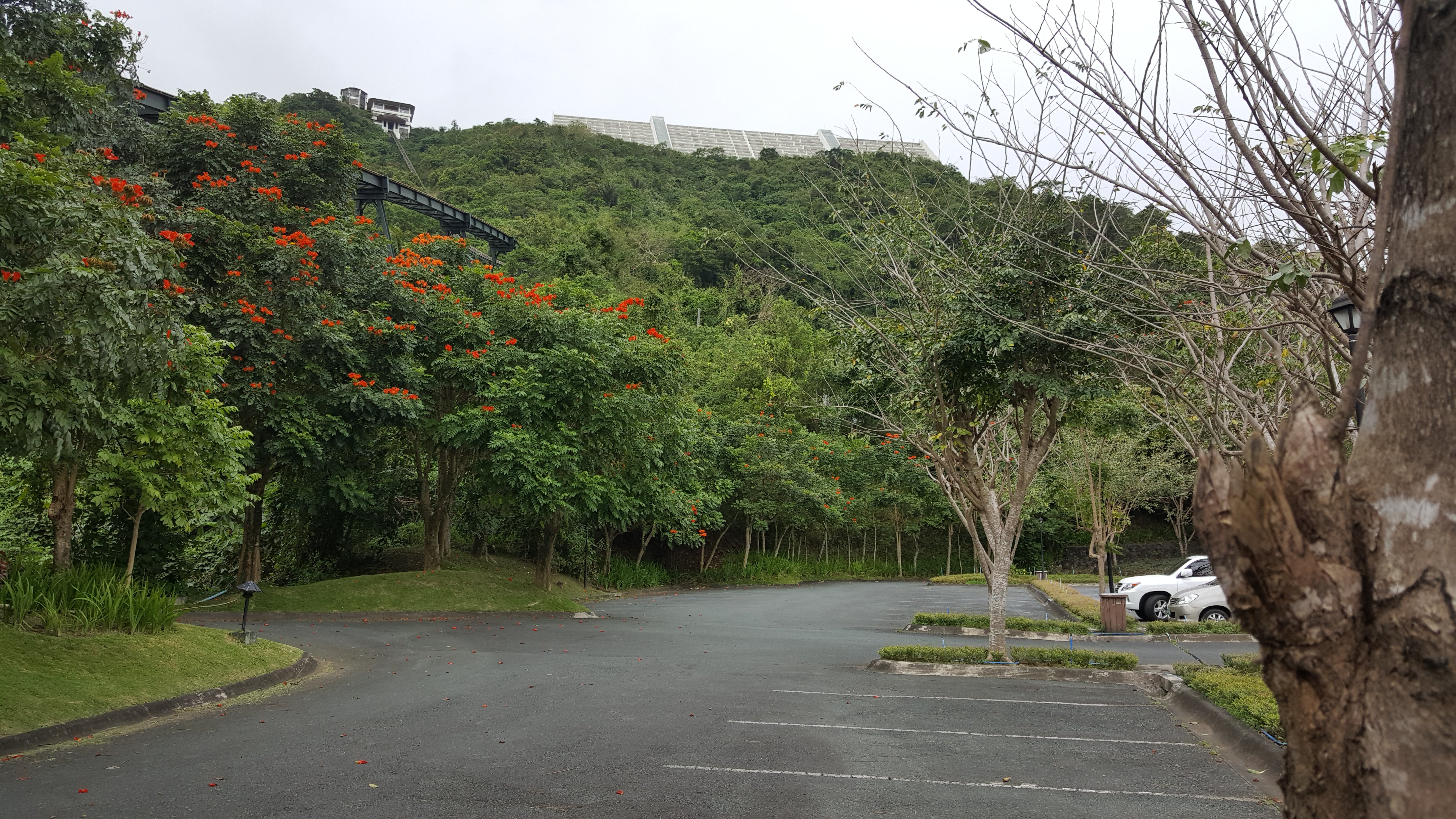 210.jpg (165335 bytes)