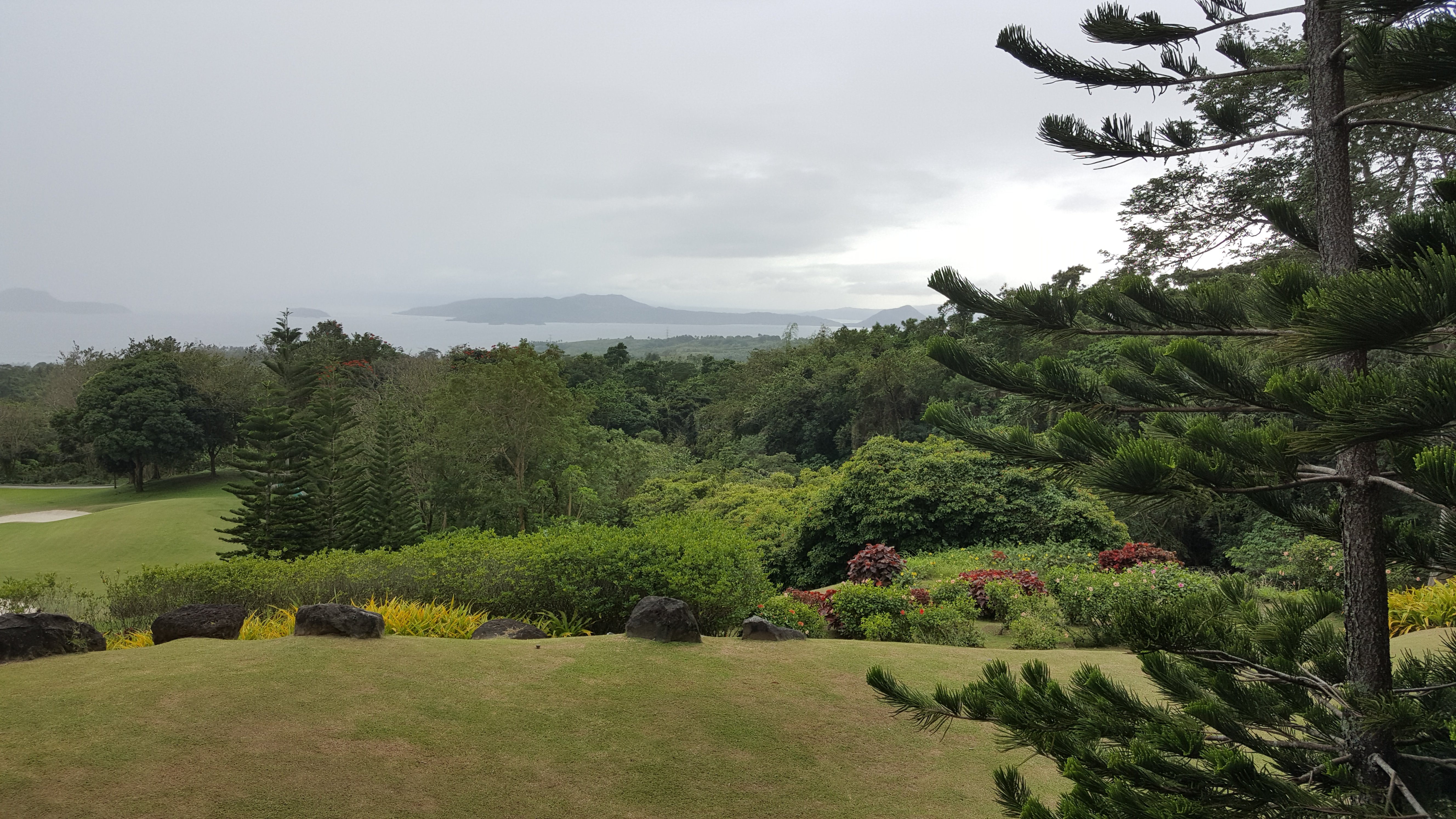 230.jpg (165335 bytes)