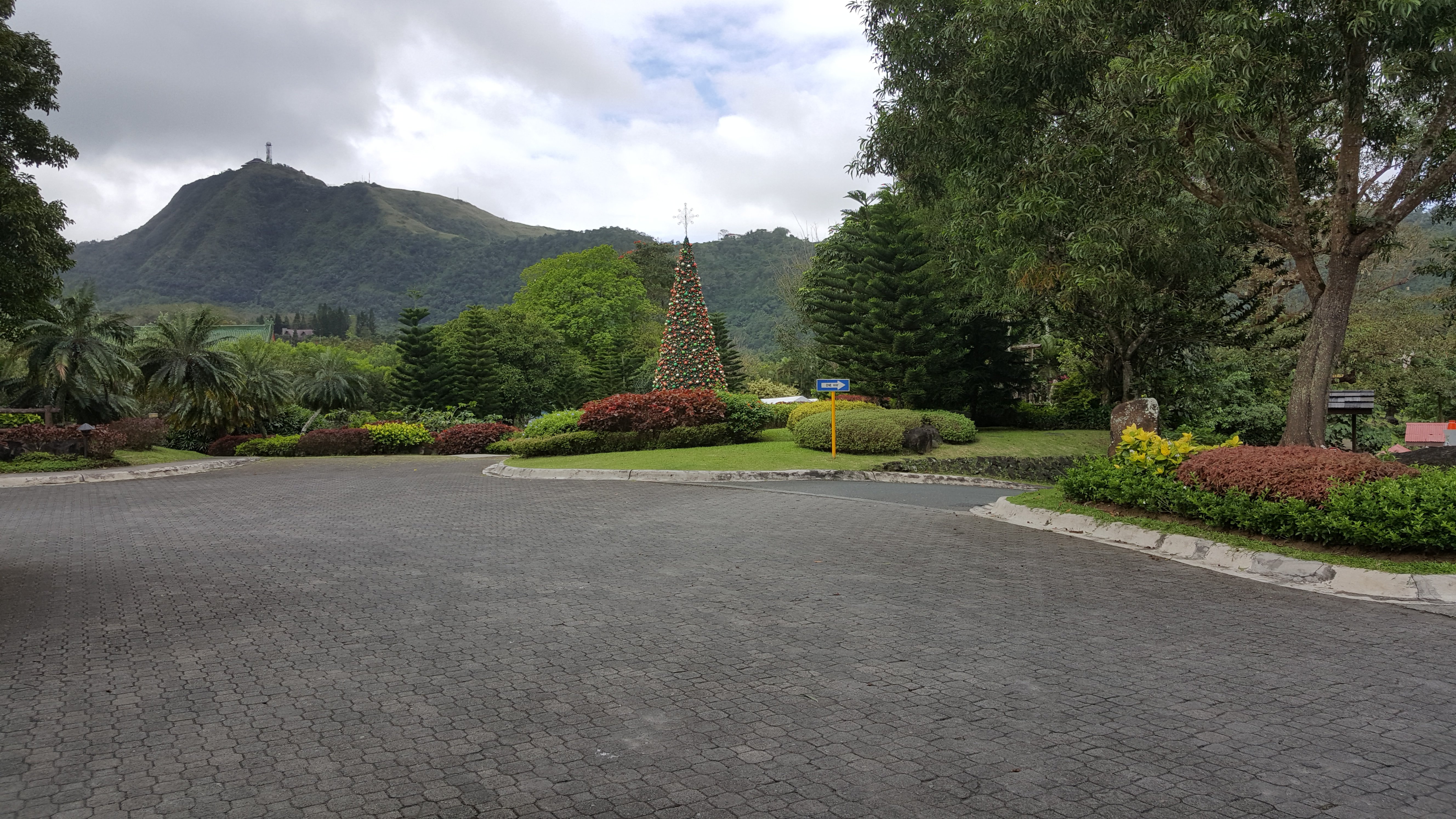 90.jpg (165335 bytes)