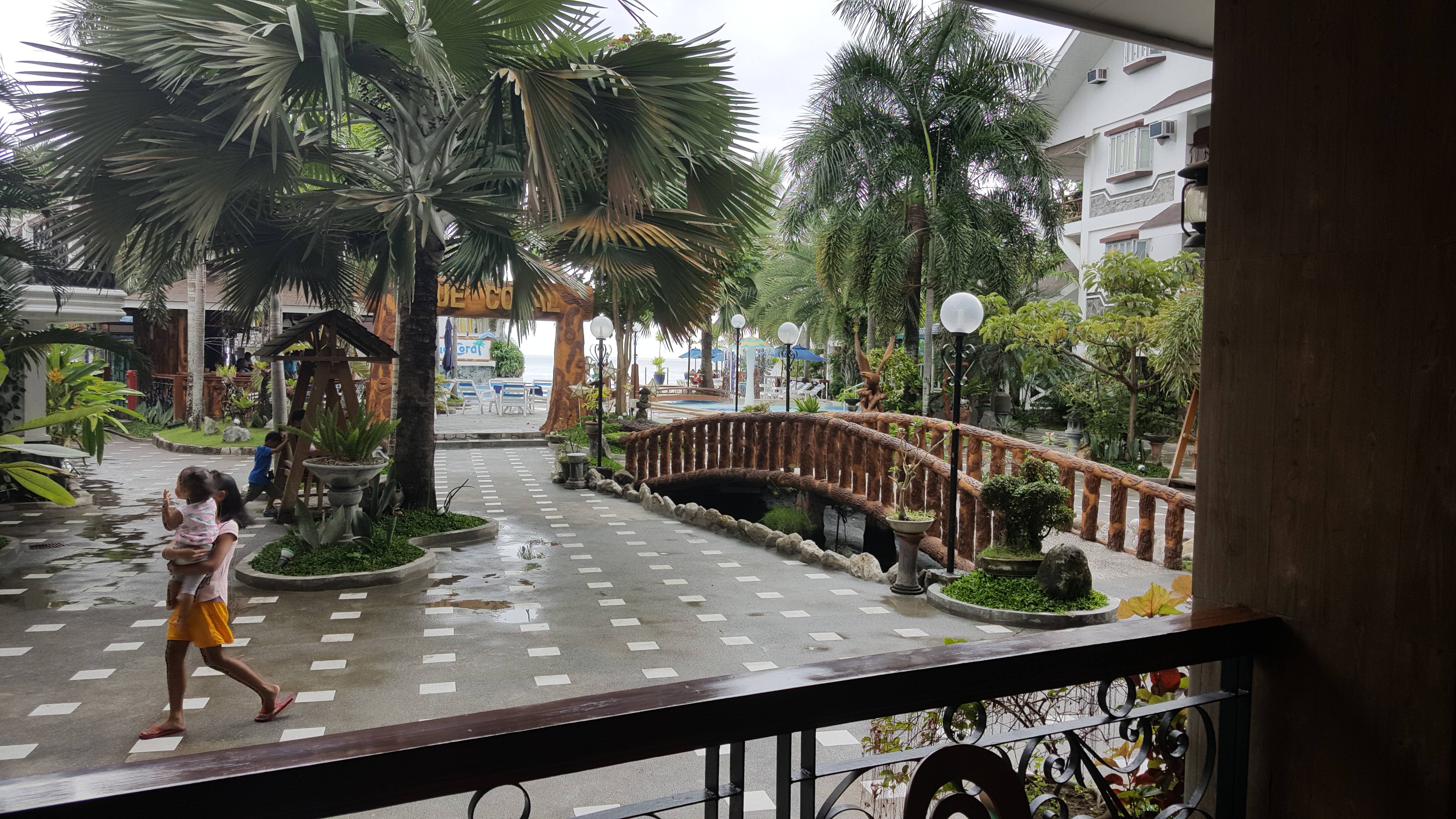 80.jpg (142052 bytes)