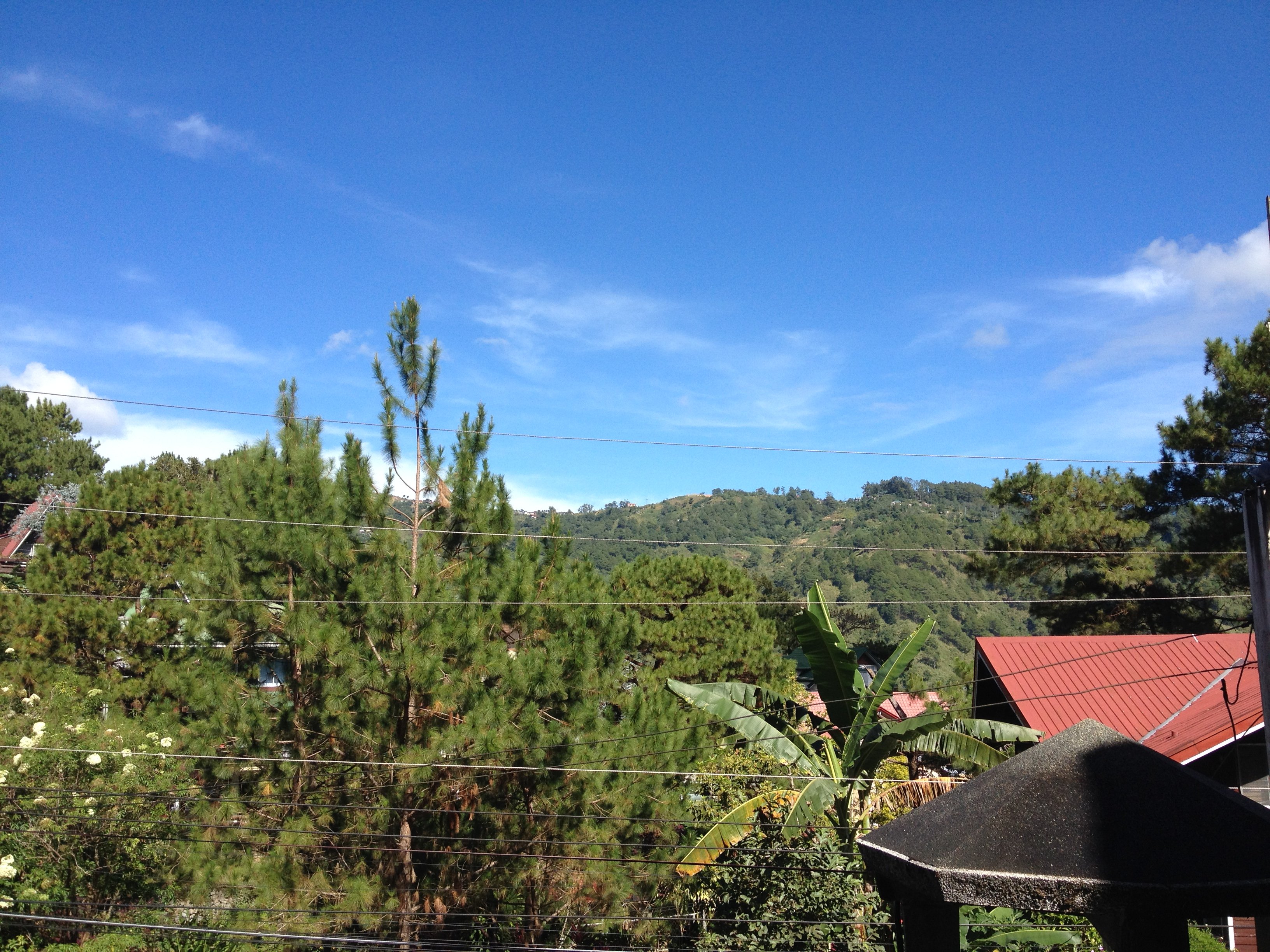 10.jpg (165335 bytes)