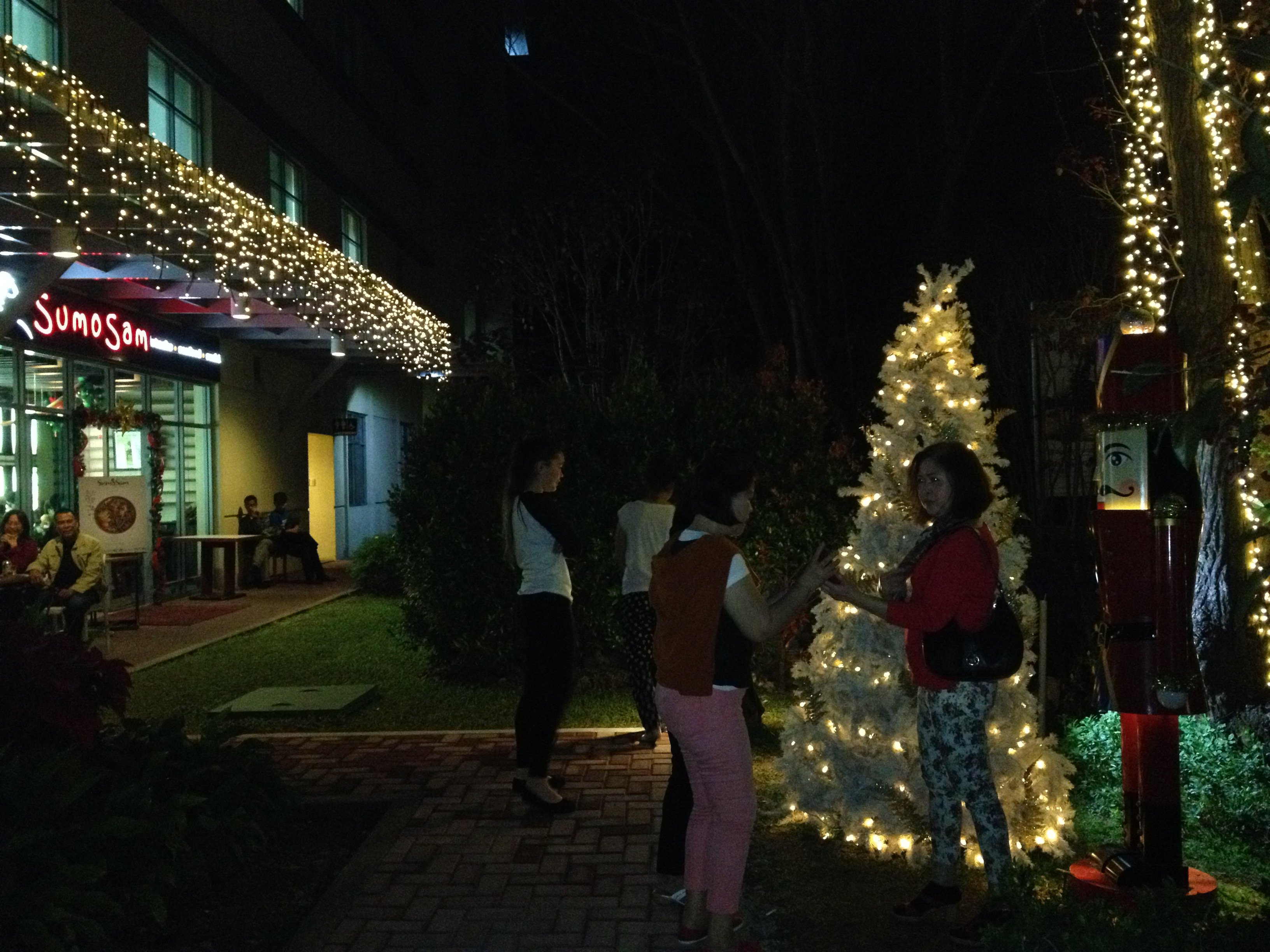 150.jpg (165335 bytes)