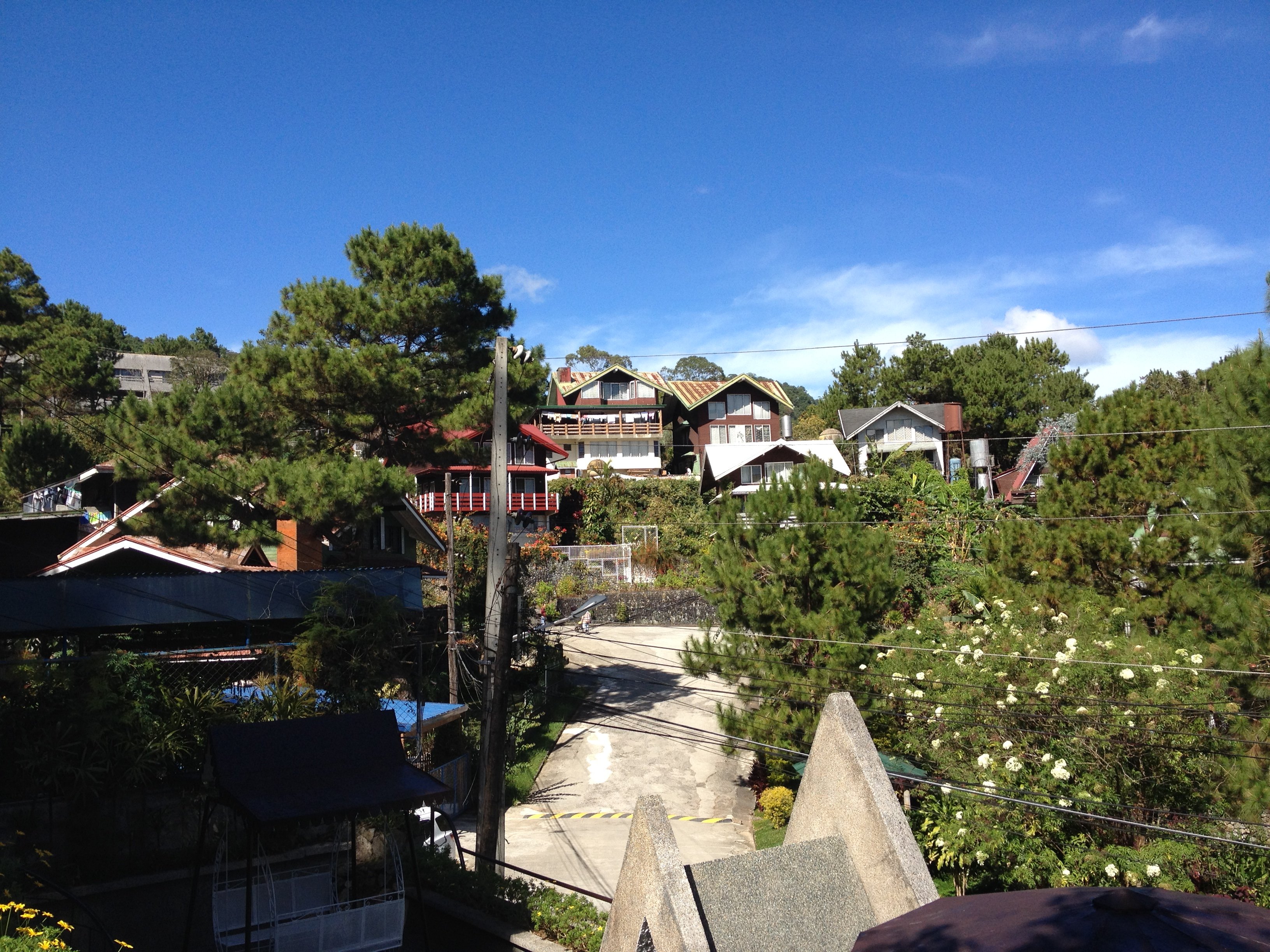 20.jpg (142052 bytes)