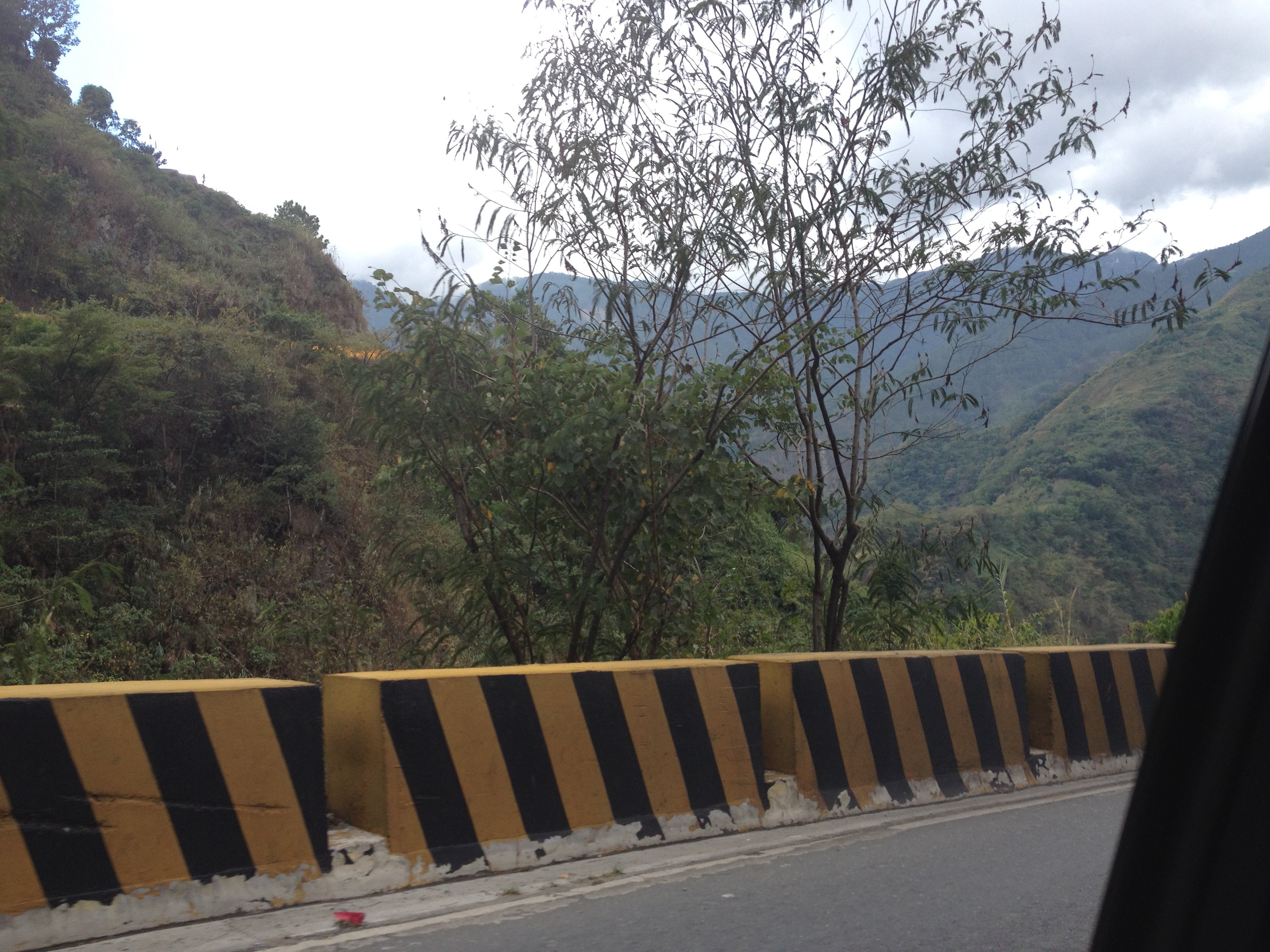 280.jpg (165335 bytes)