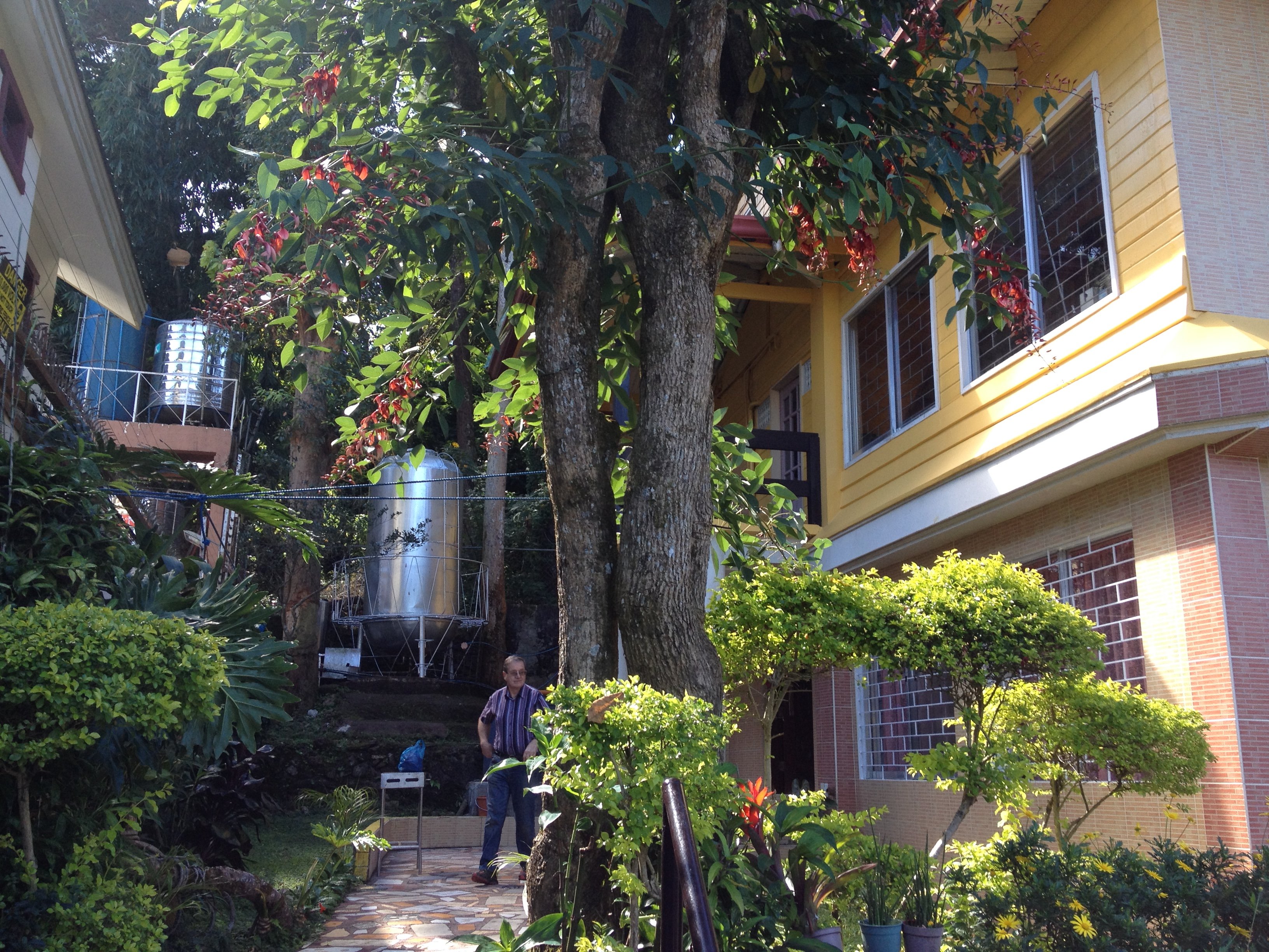 40.jpg (142052 bytes)