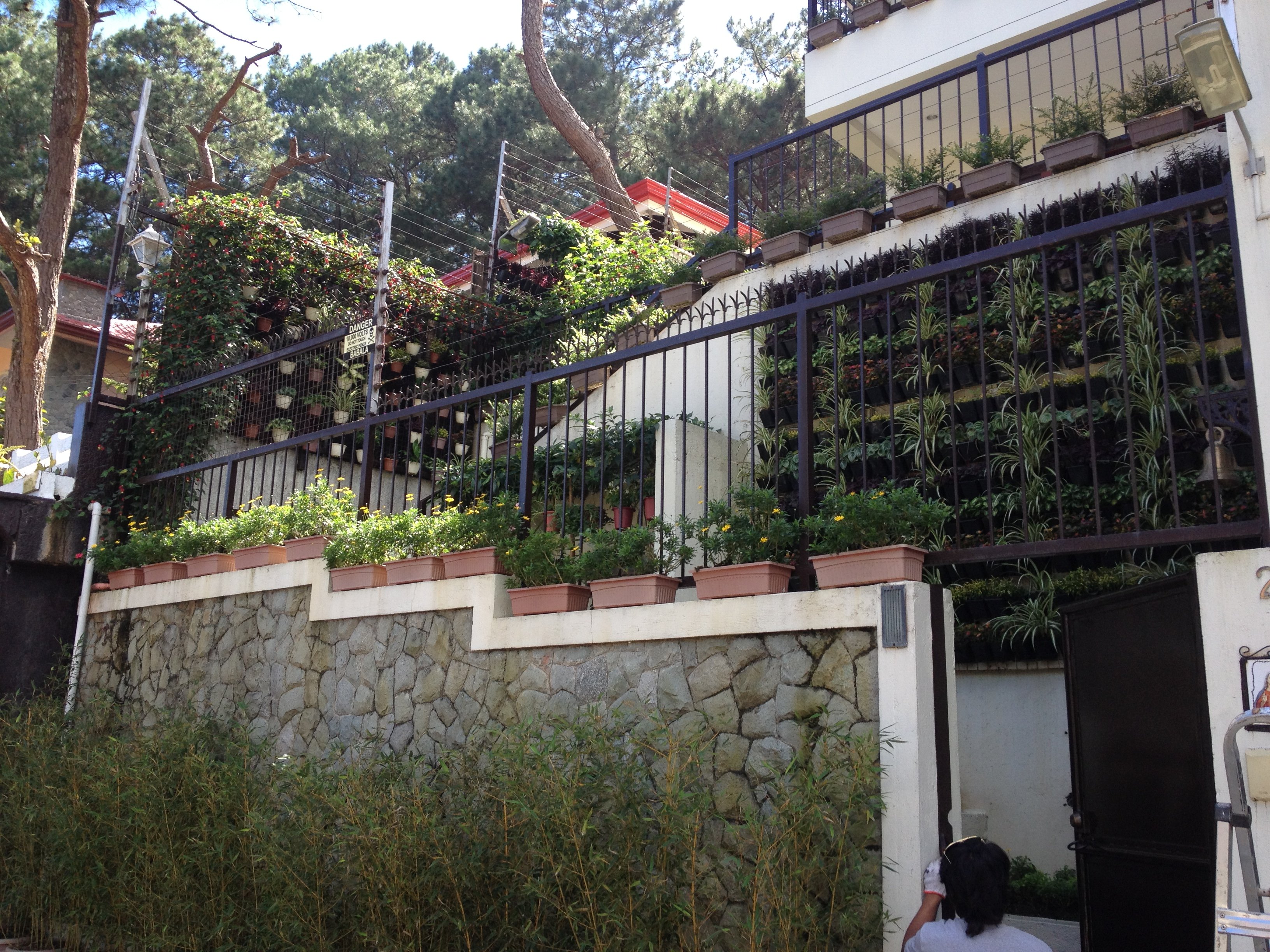 50.jpg (165335 bytes)