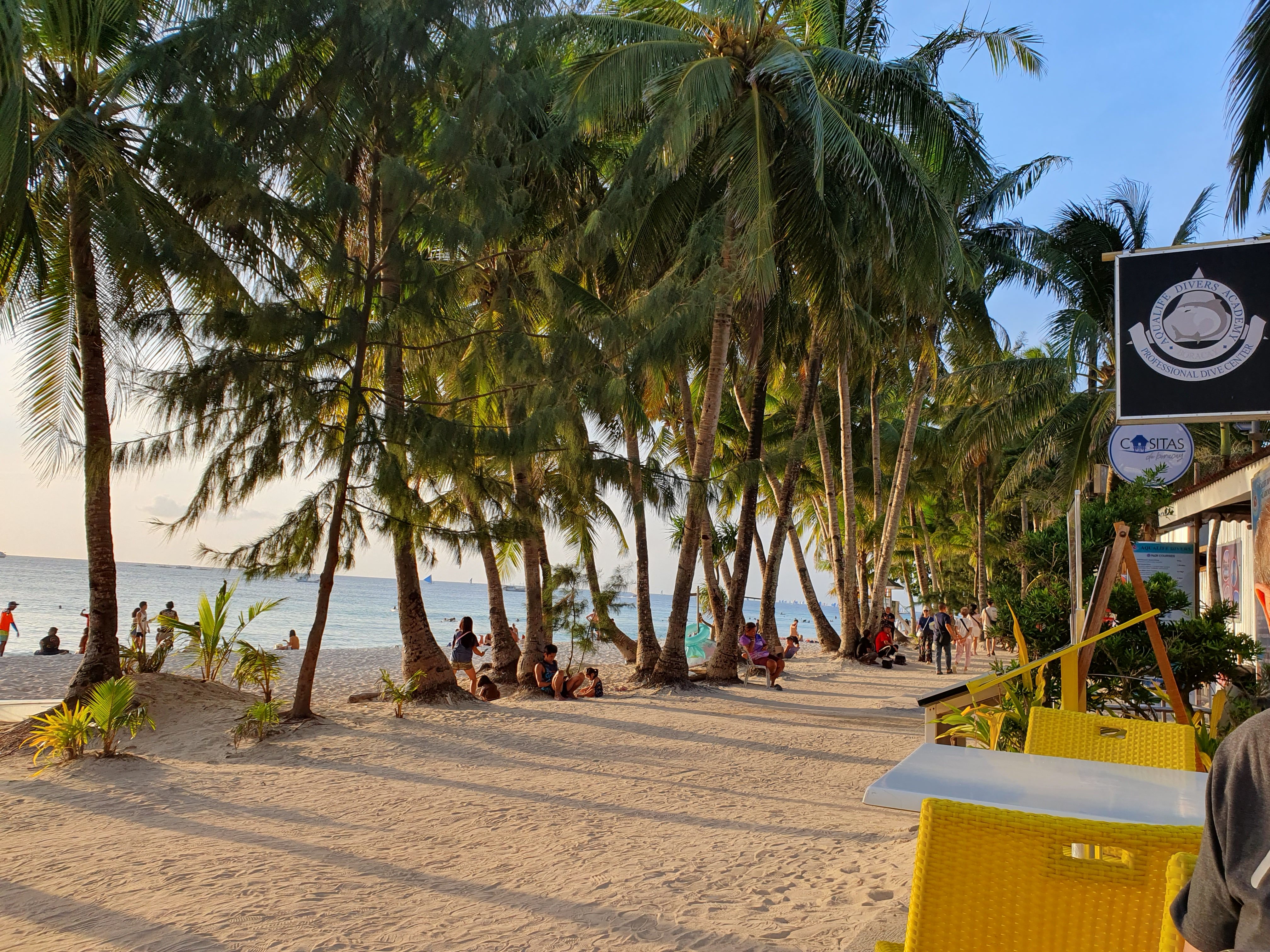 160.jpg (165335 bytes)