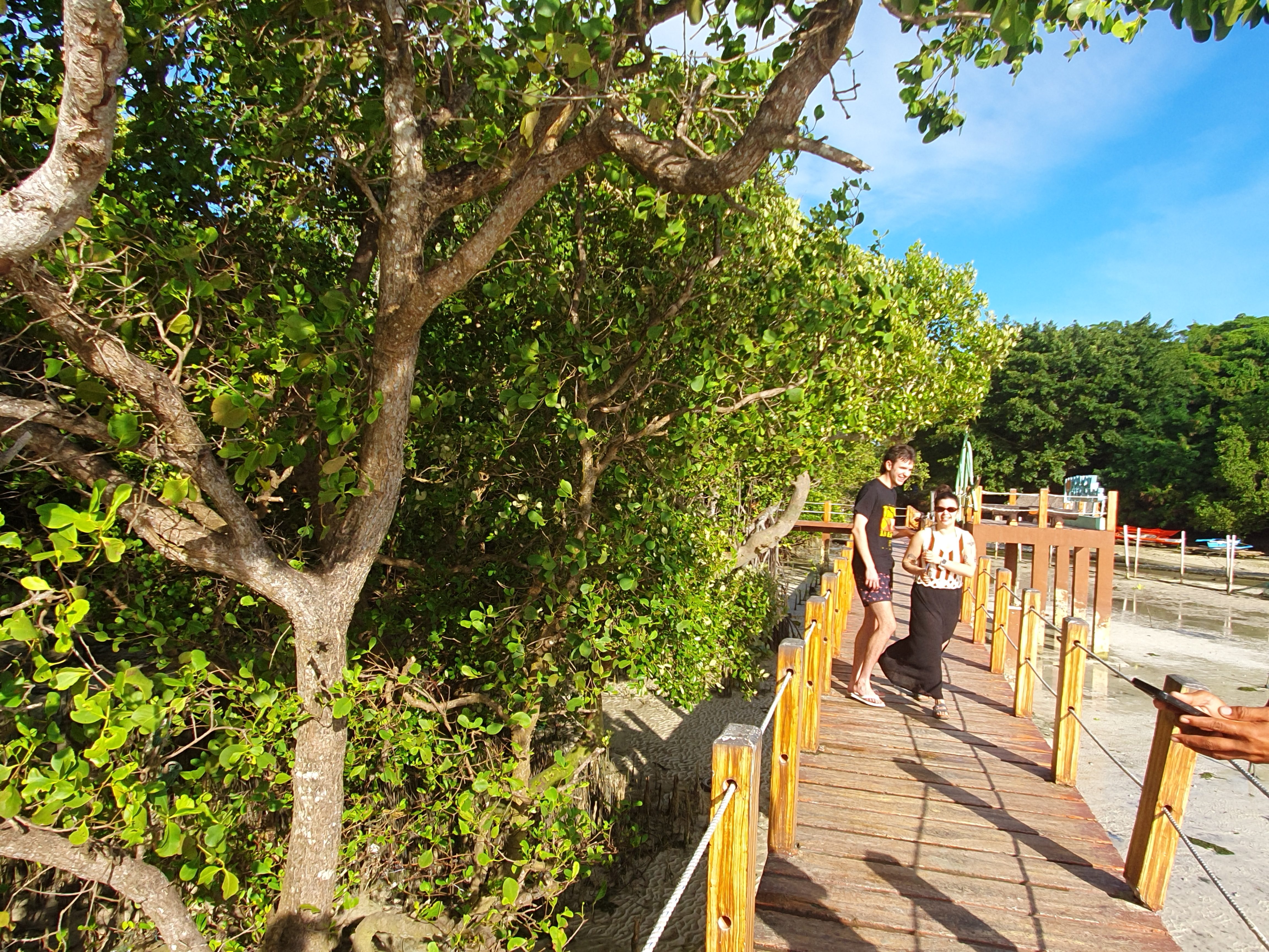 170.jpg (165335 bytes)