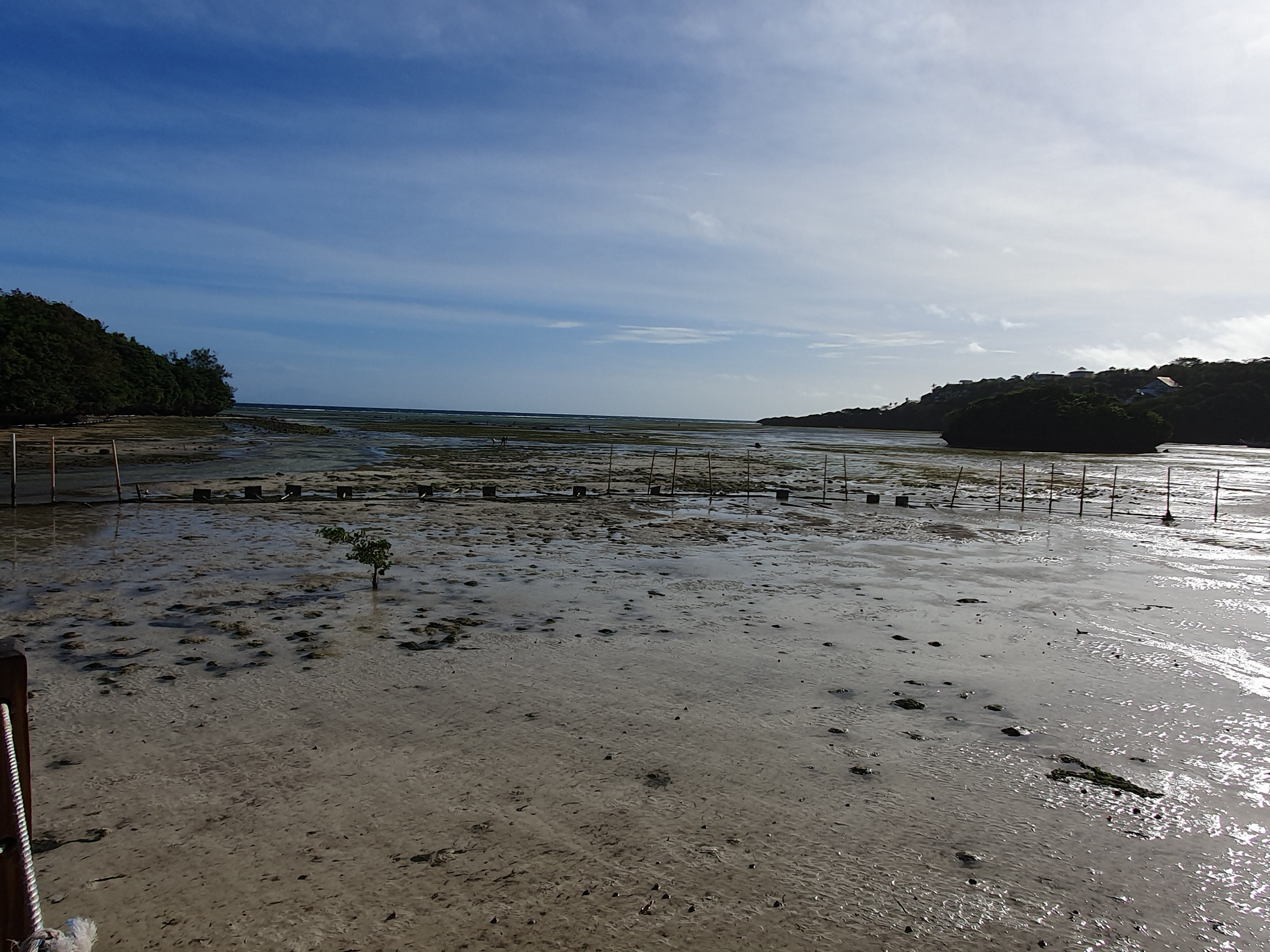 180.jpg (142052 bytes)