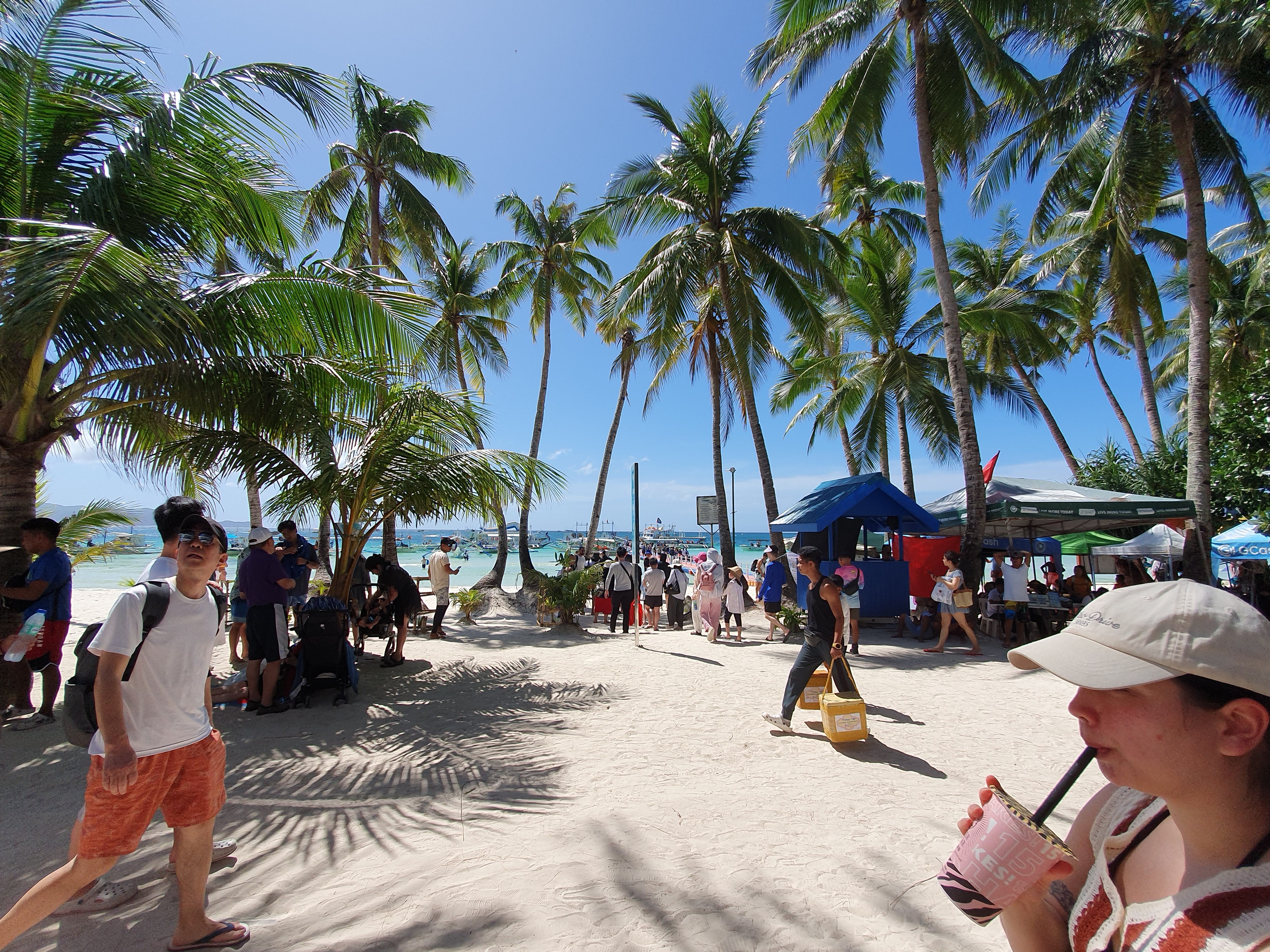 210.jpg (165335 bytes)