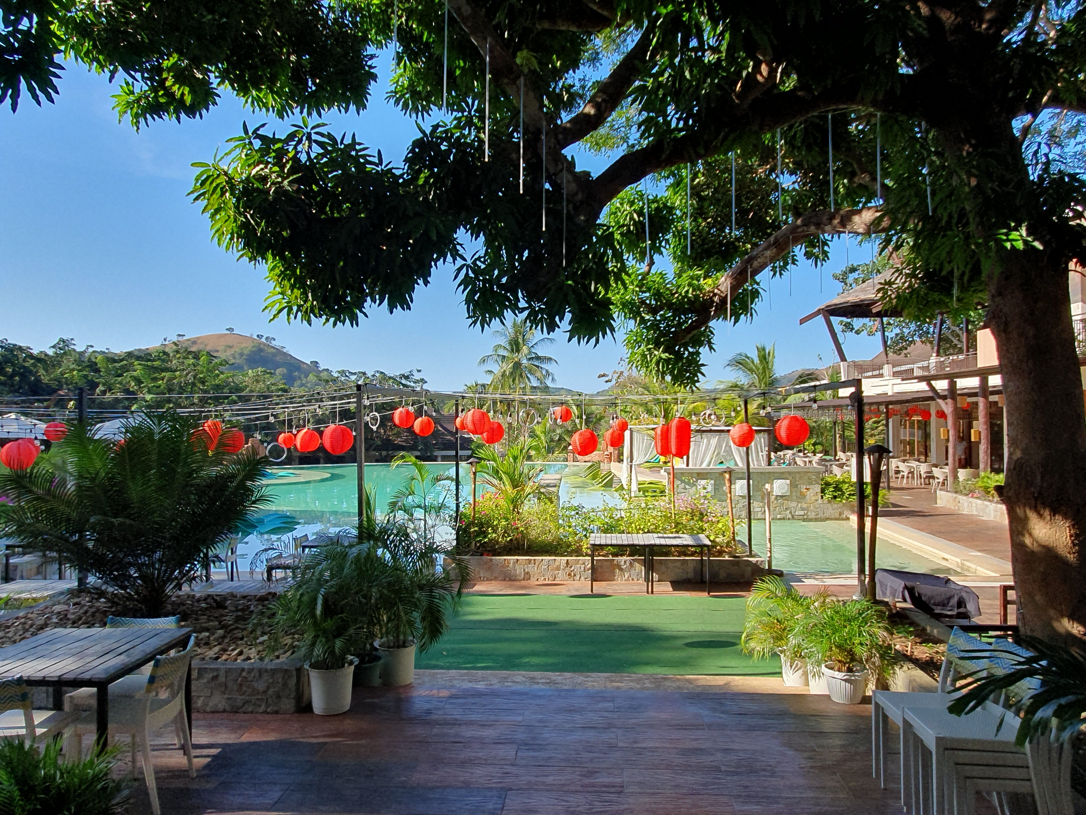 180.jpg (165335 bytes)