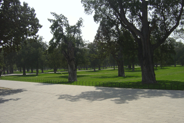 100.gif (165617 bytes)