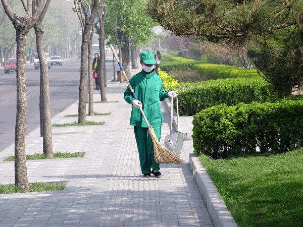 020.gif (204871 bytes)