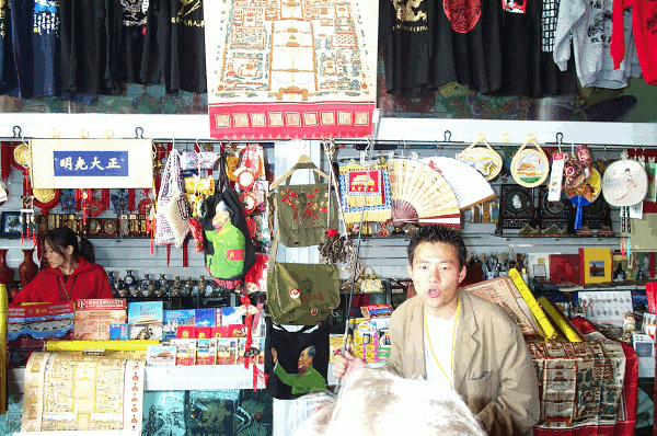 040.gif (168542 bytes)