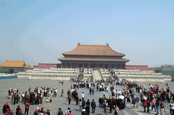 050.gif (138936 bytes)