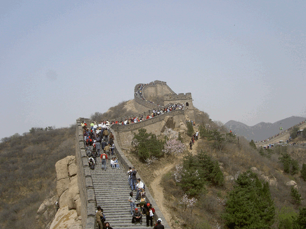 00100.gif (171421 bytes)