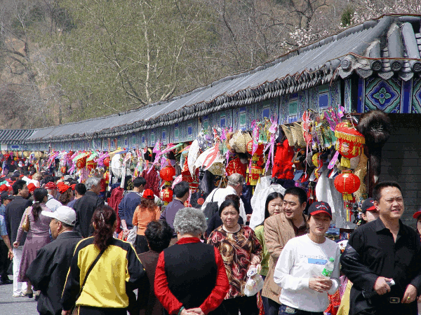 00120.gif (209008 bytes)