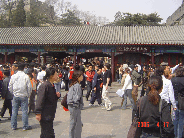 0050.gif (198354 bytes)