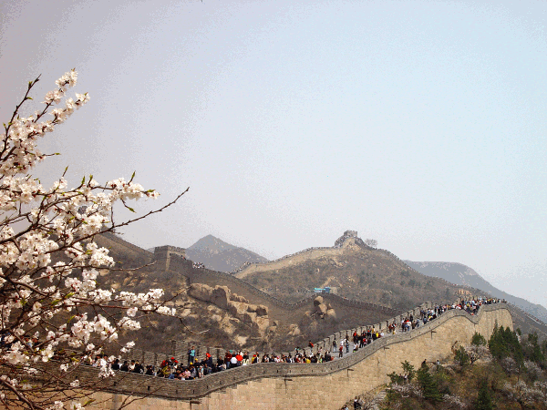 0060.gif (168335 bytes)