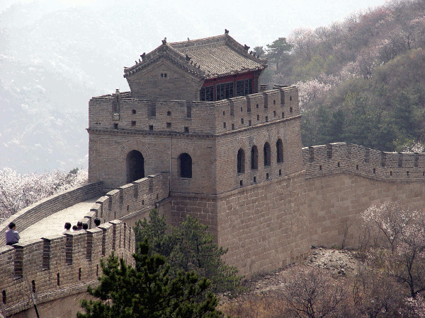 0070.gif (219662 bytes)