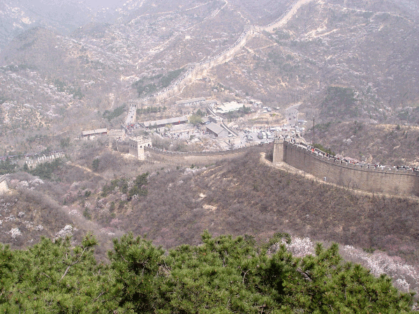 0080.gif (222929 bytes)