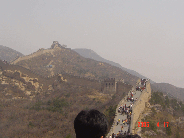 0090.gif (154667 bytes)