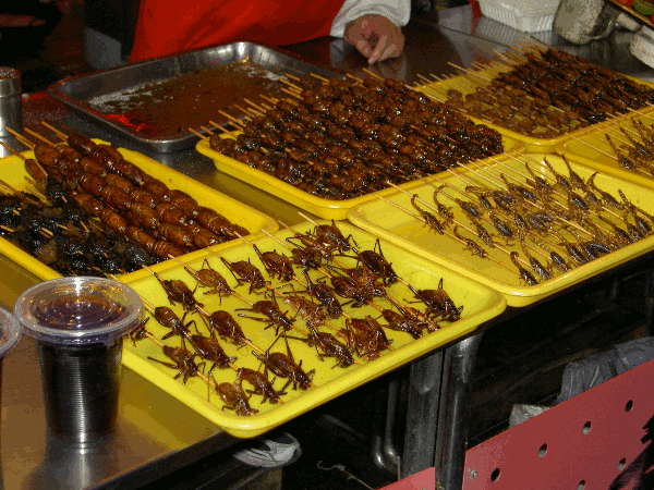 000140.gif (203333 bytes)