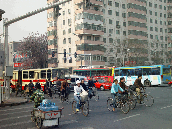 00020.gif (196171 bytes)