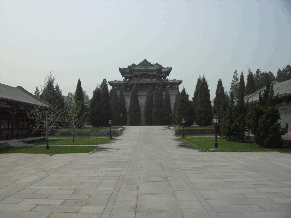 00080.gif (141350 bytes)