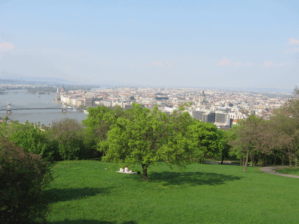 220.gif (151979 bytes)