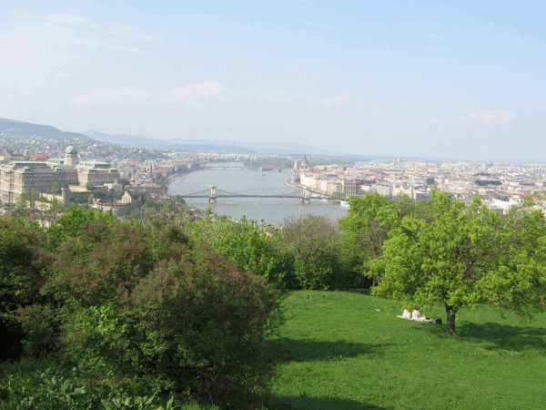 230.gif (158925 bytes)