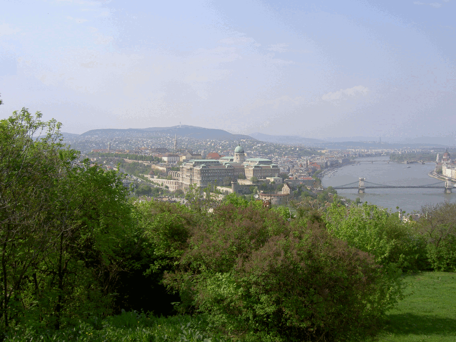 240.gif (354779 bytes)