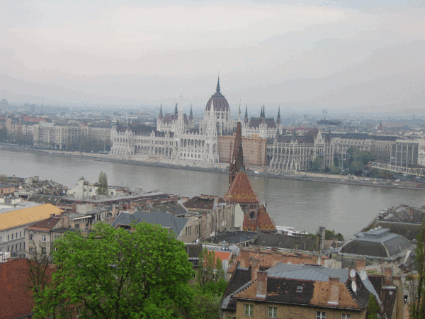 50.gif (152567 bytes)