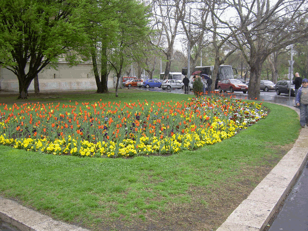 70.gif (235013 bytes)