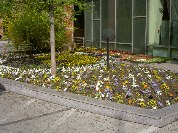 80.gif (221356 bytes)