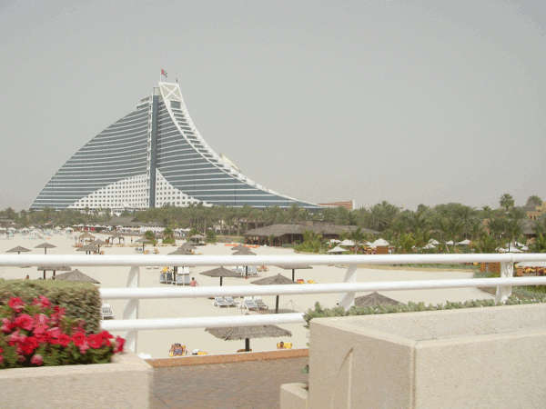 100.gif (119404 bytes)