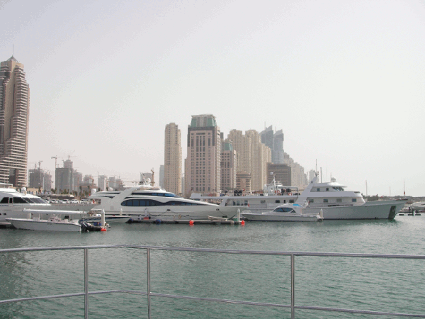 450.gif (133034 bytes)