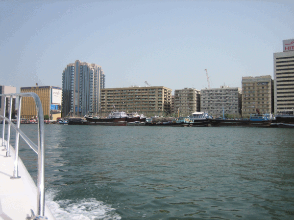 510.gif (142435 bytes)