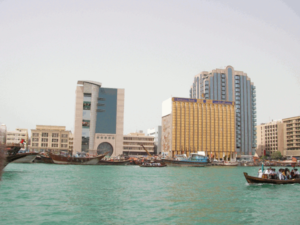 540.gif (134619 bytes)