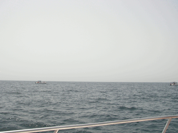 550.gif (133517 bytes)