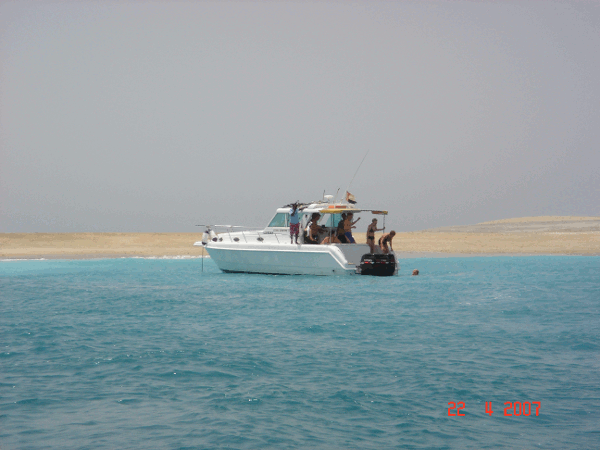 560.gif (124127 bytes)