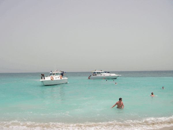 570.gif (117007 bytes)