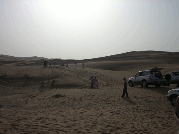 590.gif (154382 bytes)