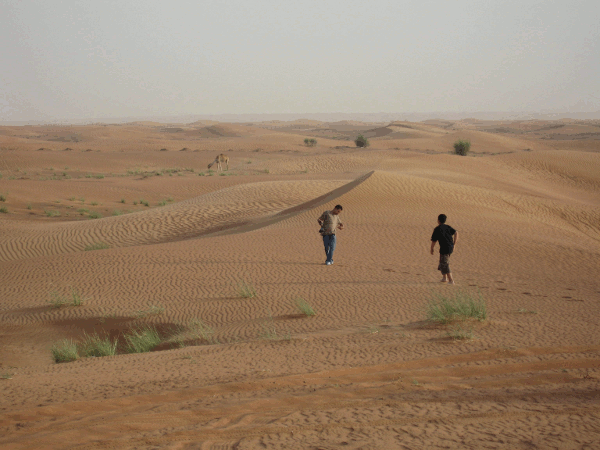 600.gif (170792 bytes)