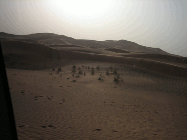 610.gif (151473 bytes)