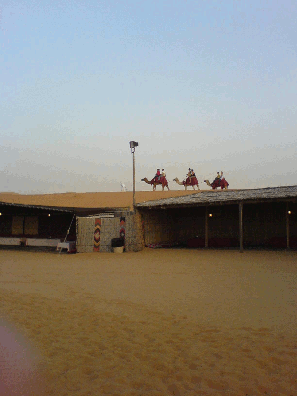 640.gif (179639 bytes)