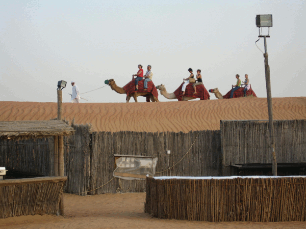 650.gif (147915 bytes)